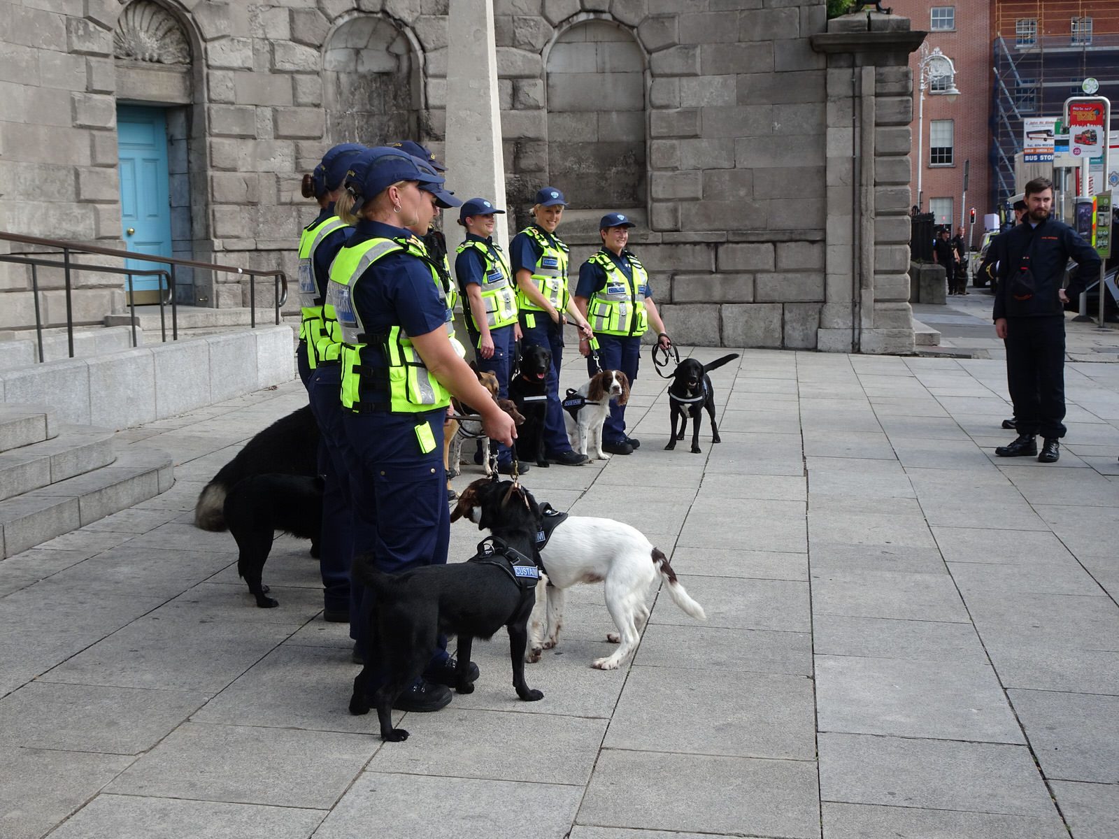 THE DOGS WHO WORK FOR THE IRISH CUSTOMS SERVICE [INVITED THE PRESS TO A PHOTO-SHOOT]-225741-1
