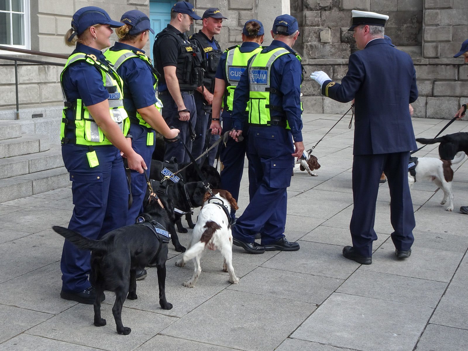 THE DOGS WHO WORK FOR THE IRISH CUSTOMS SERVICE [INVITED THE PRESS TO A PHOTO-SHOOT]-225743-1