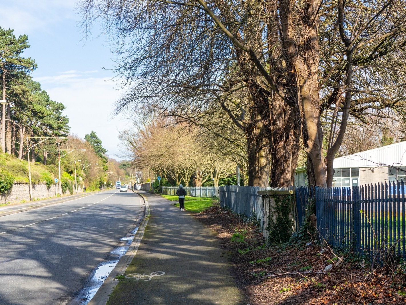 A WALK ALONG CHAPELIZOD ROAD [FROM DUBLIN TO THE VILLAGE 18 MARCH 2024]-223404-1