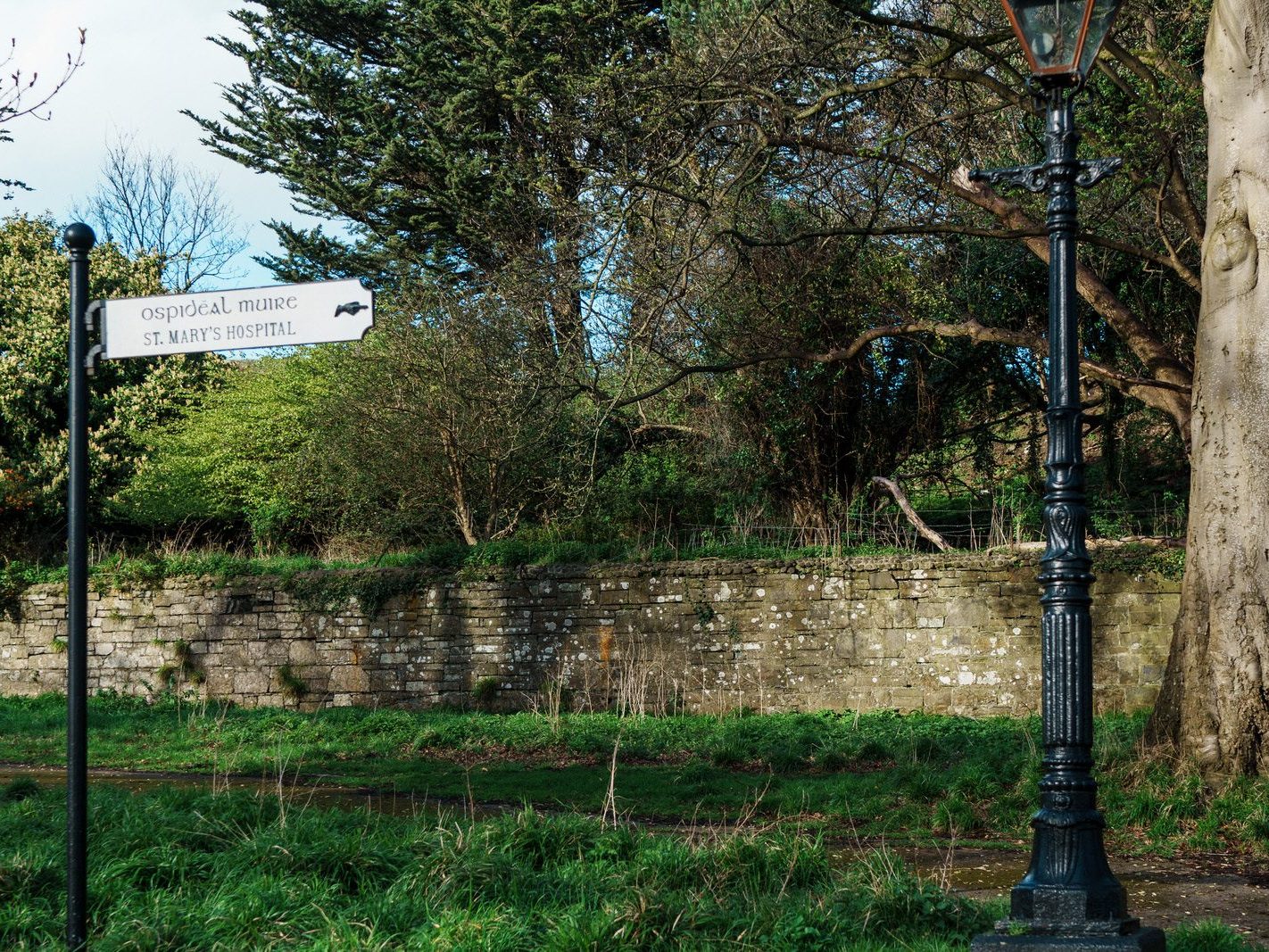 CHAPELIZOD GATE AND ST. MARY'S HOSPITAL IN PHOENIX PARK [28 MARCH 2024]-223435-1