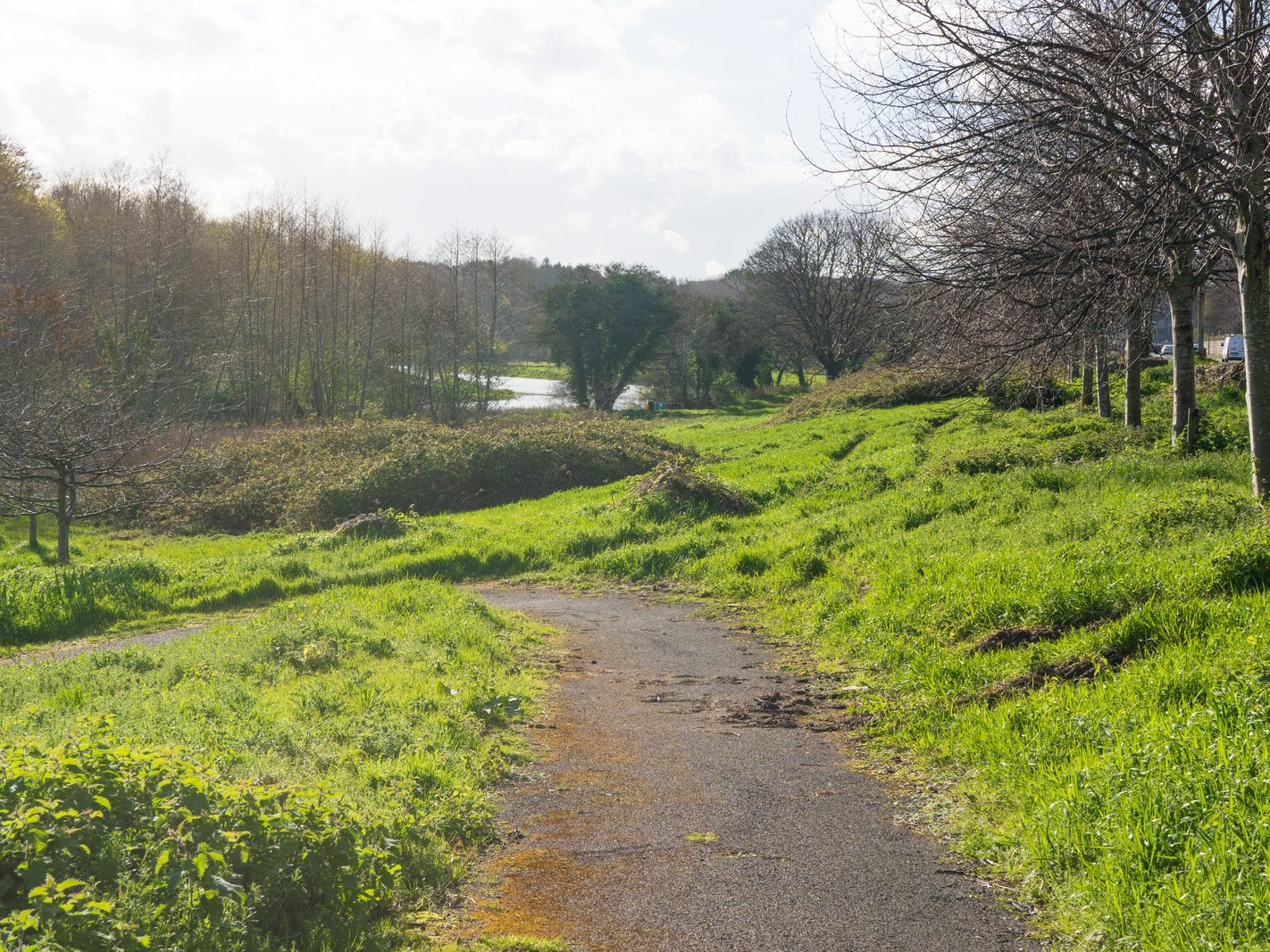 LIFFEY VALLEY PARK AT CHAPELIZOD ON THE NORTH SIDE OF THE RIVER [ACROSS THE ROAD FROM THE ENTRANCE TO PHOENIX PARK]-223349-1