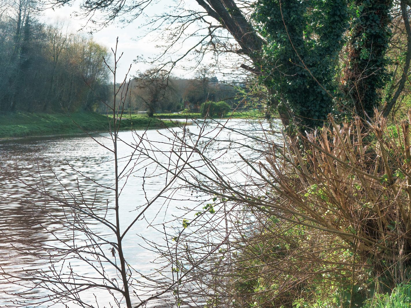 LIFFEY VALLEY PARK AT CHAPELIZOD ON THE NORTH SIDE OF THE RIVER [ACROSS THE ROAD FROM THE ENTRANCE TO PHOENIX PARK]-223355-1