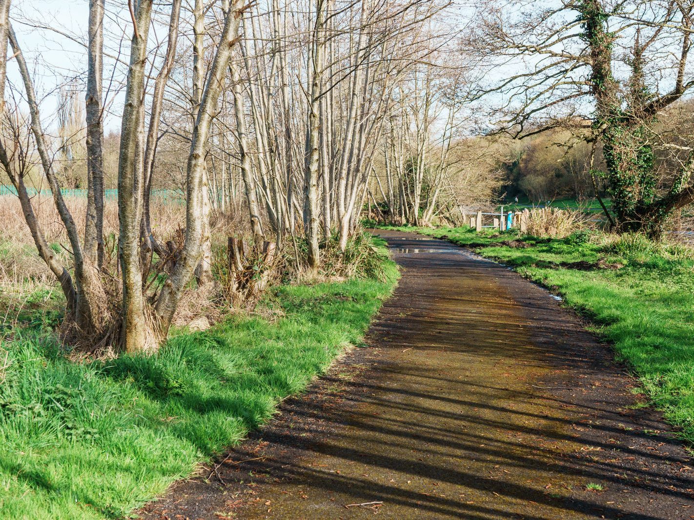 LIFFEY VALLEY PARK AT CHAPELIZOD ON THE NORTH SIDE OF THE RIVER [ACROSS THE ROAD FROM THE ENTRANCE TO PHOENIX PARK]-223361-1