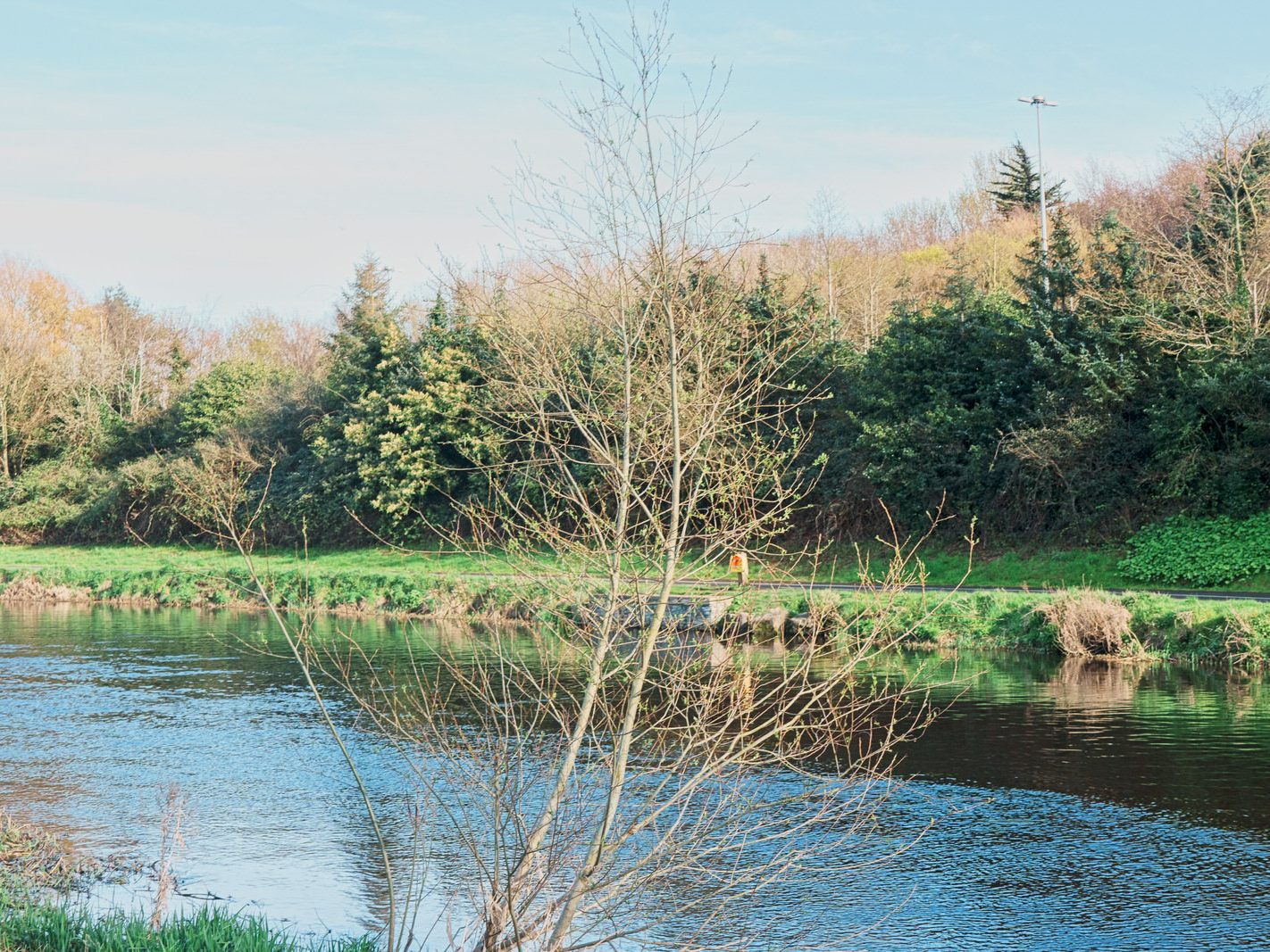LIFFEY VALLEY PARK AT CHAPELIZOD ON THE NORTH SIDE OF THE RIVER [ACROSS THE ROAD FROM THE ENTRANCE TO PHOENIX PARK]-223384-1