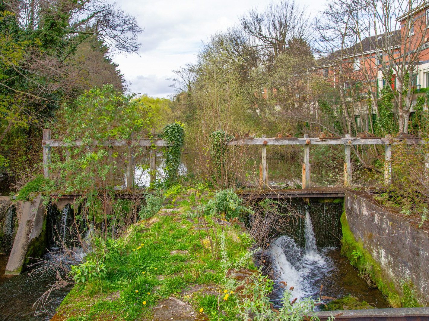 CHAPELIZOD WEIR [I WAS A BIT DISAPPOINTED BY WHAT I COULD SEE FROM MAIDEN'S ROW]-231279-1