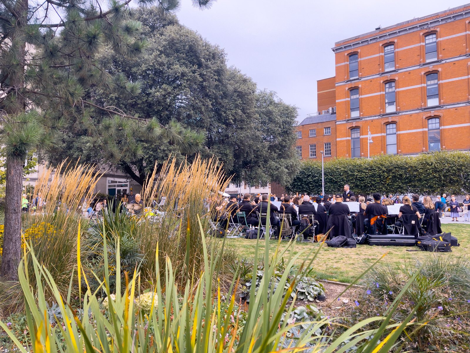 PUBLIC CONCERT [WOLFE TONE PARK]-241408-1