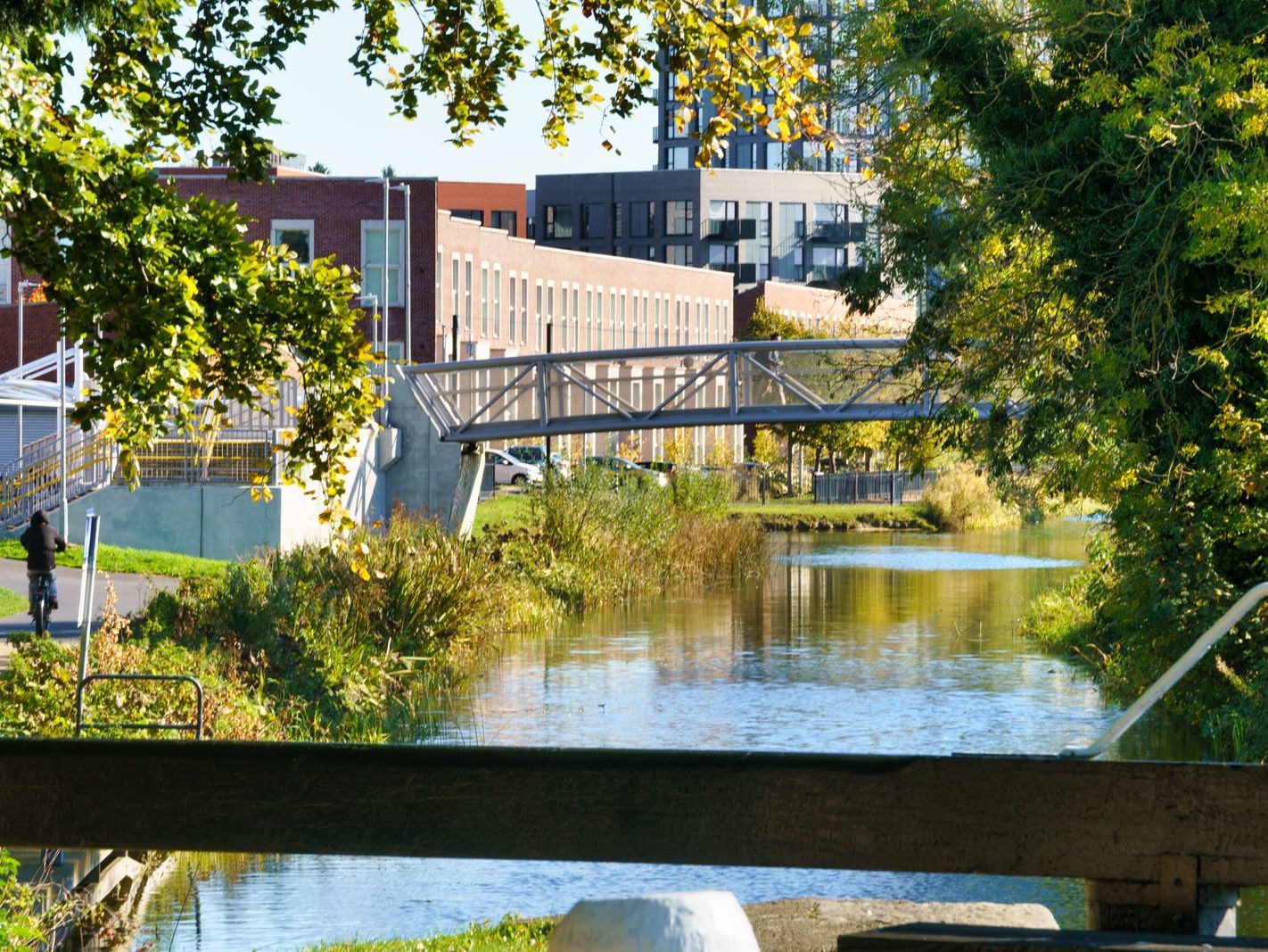 A WALK ALONG THE ROYAL CANAL FROM PELLETSTOWN TO ASHTOWN [THE 9TH LOCK]-242544-1