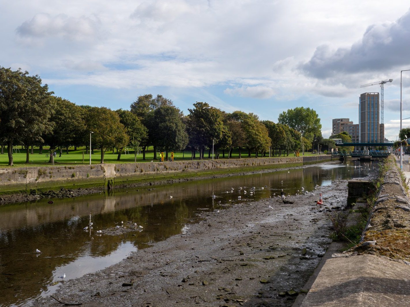 CLONTARF TO CITY CENTRE ROAD PROJECT [THE ANNESLEY BRIDGE TO MARINO IS STILL A WORK IN PROGRESS]-241929-1