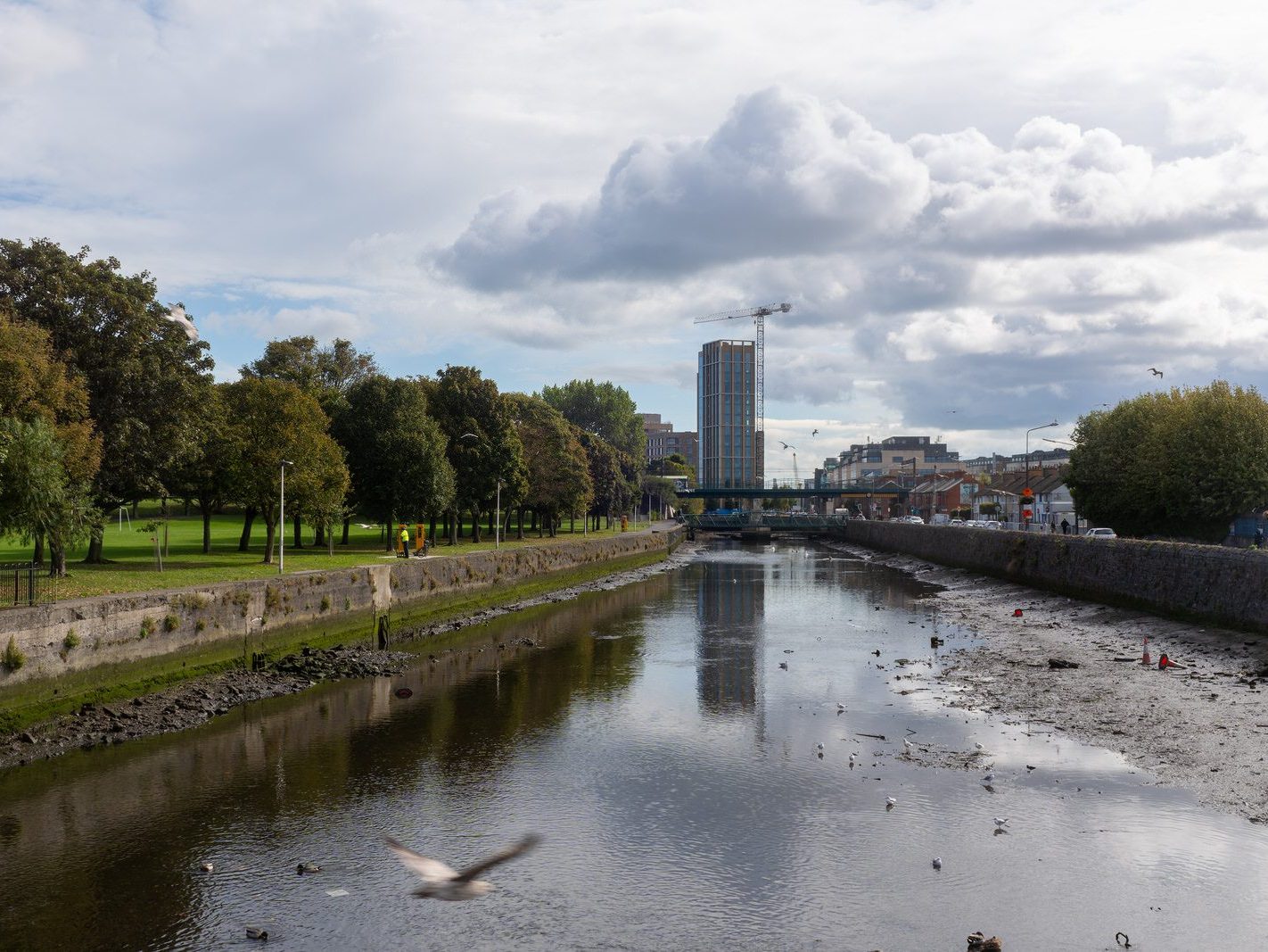 CLONTARF TO CITY CENTRE ROAD PROJECT [THE ANNESLEY BRIDGE TO MARINO IS STILL A WORK IN PROGRESS]-241932-1