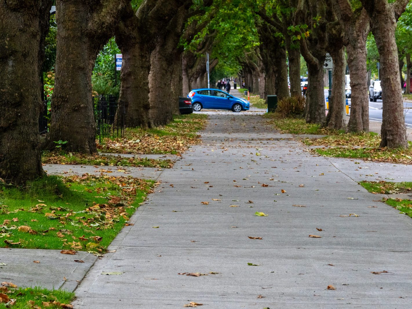 GRIFFITH AVENUE [NOW SERVICED BY THE NEW N2 BUS ROUTE]-242248-1