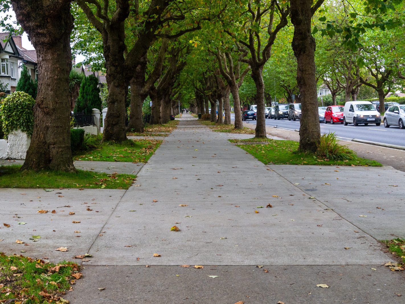 GRIFFITH AVENUE [NOW SERVICED BY THE NEW N2 BUS ROUTE]-242249-1