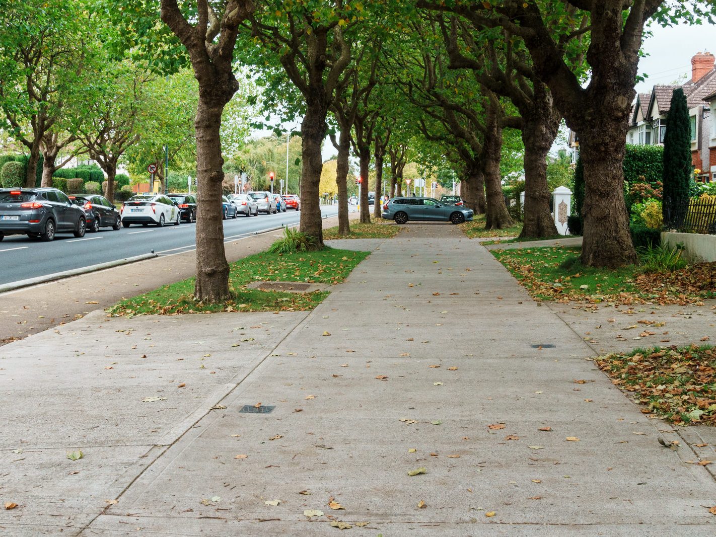 GRIFFITH AVENUE [NOW SERVICED BY THE NEW N2 BUS ROUTE]-242251-1