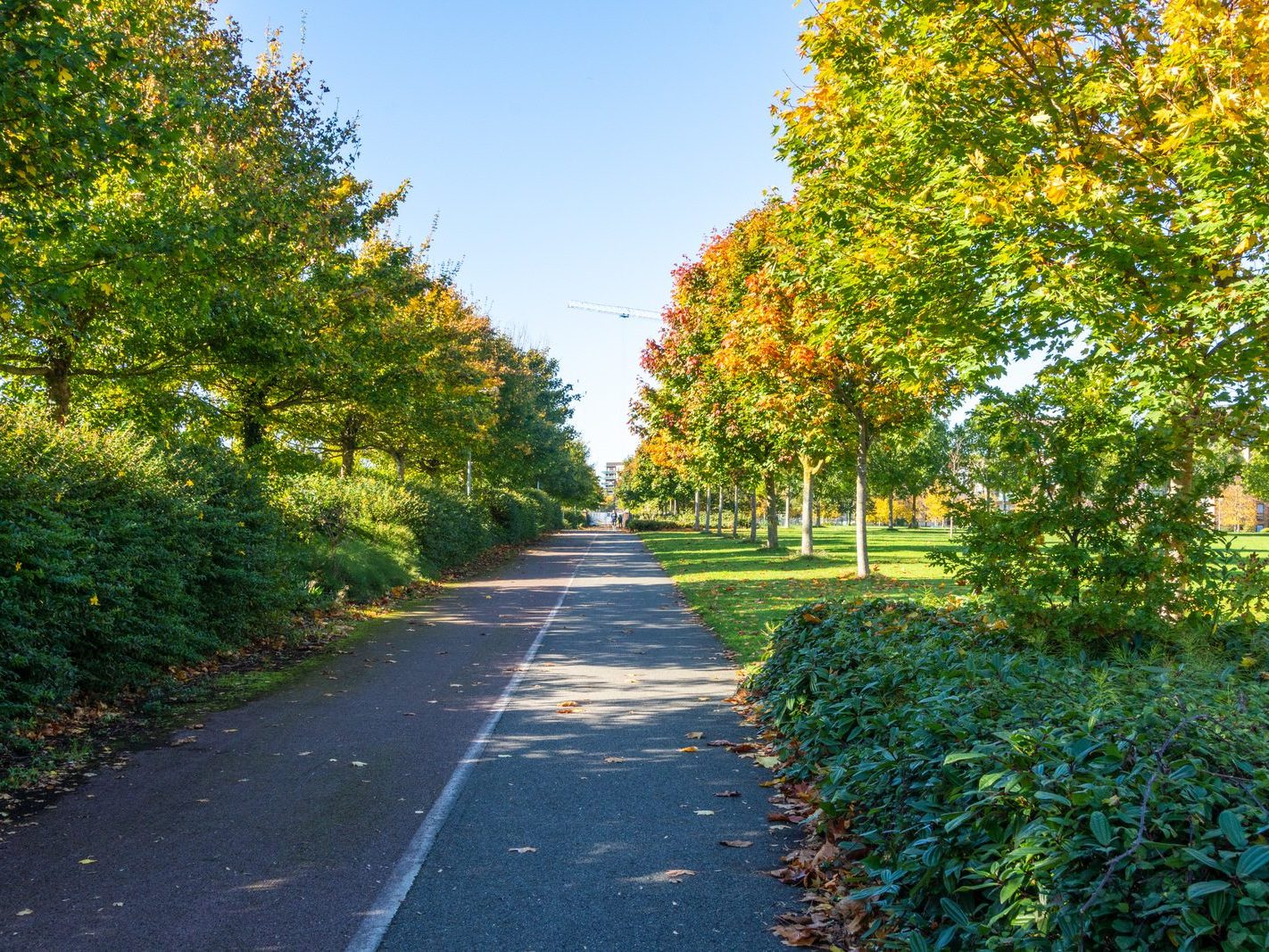 ROYAL CANAL CRESCENT AND CRESCENT PUBLIC PARK [AT PELLETSTOWN WHICH IS ADJACENT TO RATHBORNE VILLAGE]-242548-1