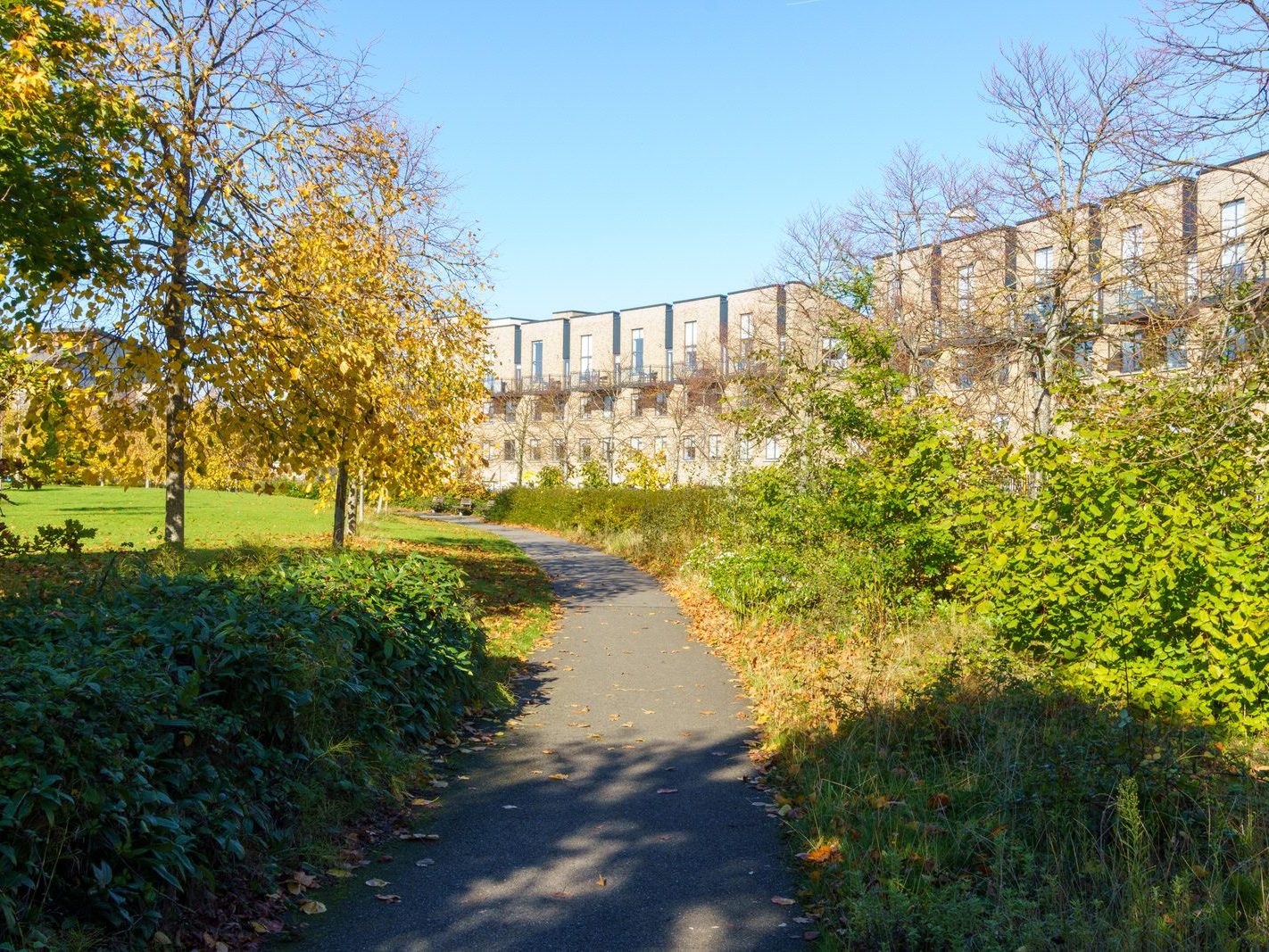 ROYAL CANAL CRESCENT AND CRESCENT PUBLIC PARK [AT PELLETSTOWN WHICH IS ADJACENT TO RATHBORNE VILLAGE]-242549-1