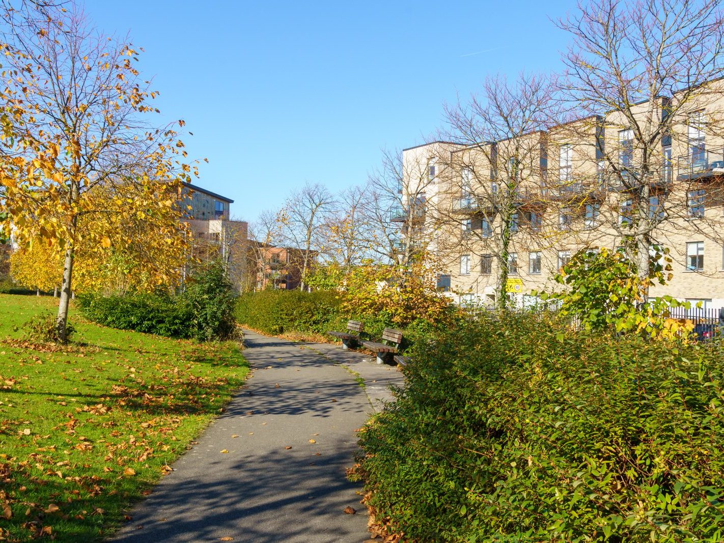 ROYAL CANAL CRESCENT AND CRESCENT PUBLIC PARK [AT PELLETSTOWN WHICH IS ADJACENT TO RATHBORNE VILLAGE]-242551-1