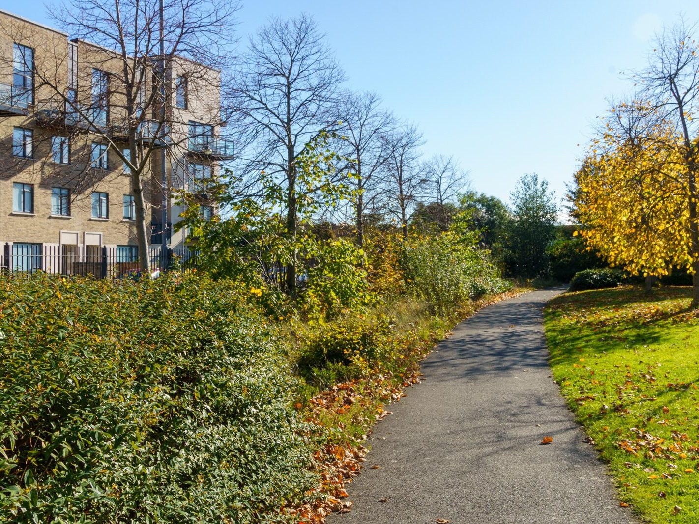 ROYAL CANAL CRESCENT AND CRESCENT PUBLIC PARK [AT PELLETSTOWN WHICH IS ADJACENT TO RATHBORNE VILLAGE]-242552-1