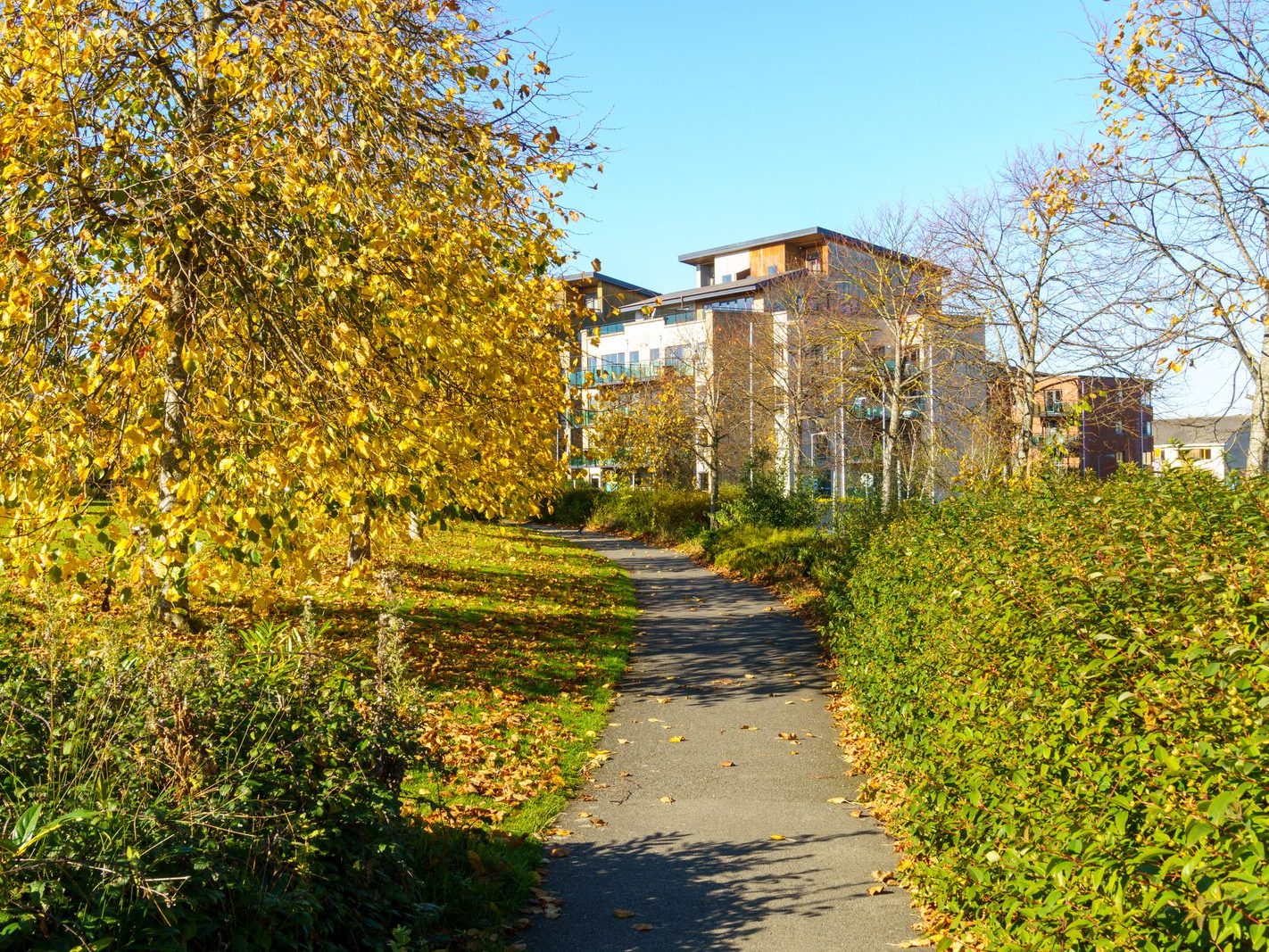 ROYAL CANAL CRESCENT AND CRESCENT PUBLIC PARK [AT PELLETSTOWN WHICH IS ADJACENT TO RATHBORNE VILLAGE]-242553-1