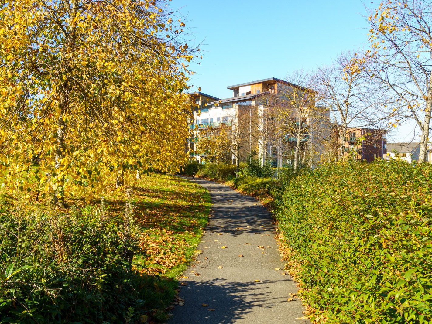 ROYAL CANAL CRESCENT AND CRESCENT PUBLIC PARK [AT PELLETSTOWN WHICH IS ADJACENT TO RATHBORNE VILLAGE]-242554-1