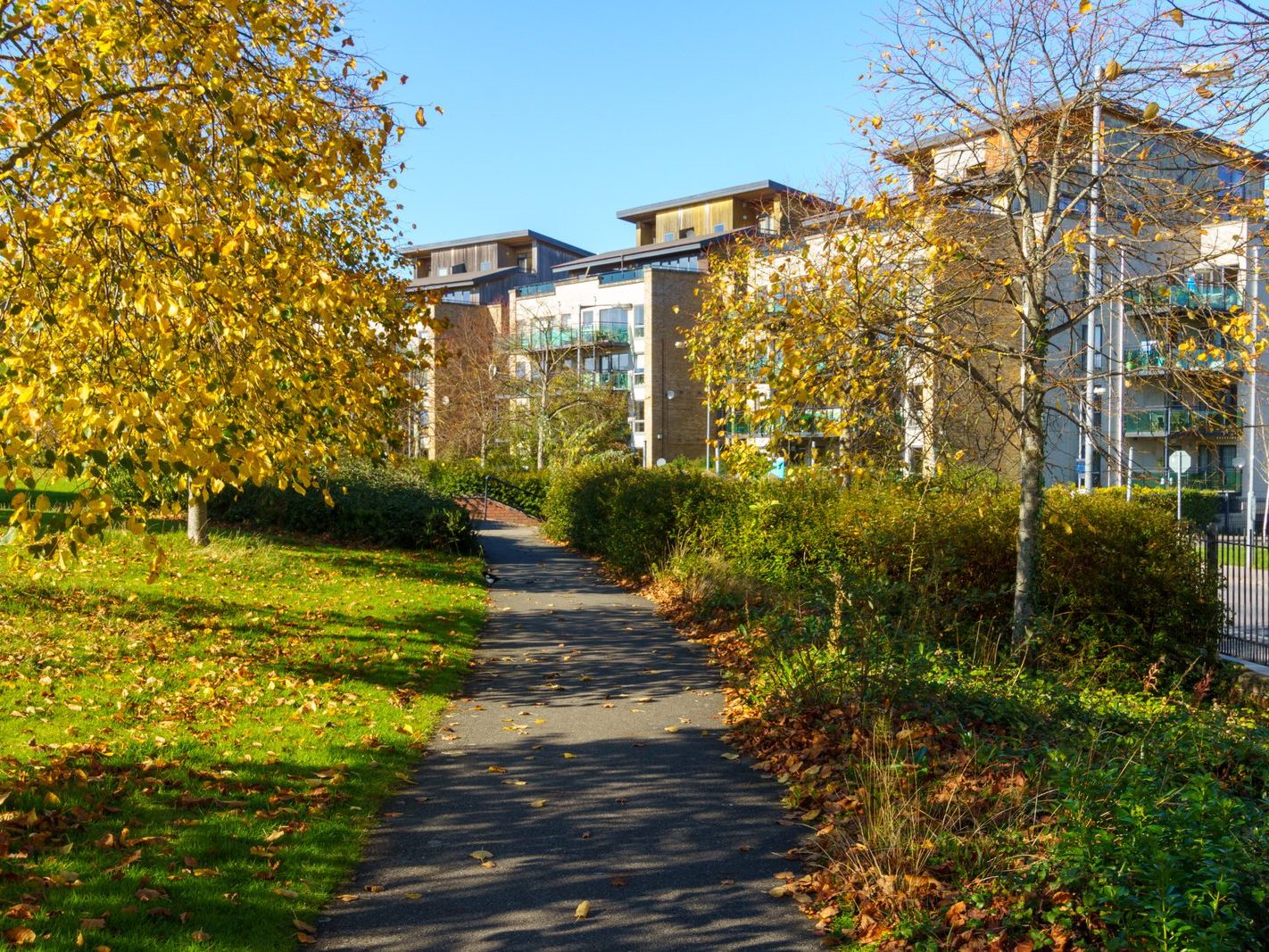 ROYAL CANAL CRESCENT AND CRESCENT PUBLIC PARK [AT PELLETSTOWN WHICH IS ADJACENT TO RATHBORNE VILLAGE]-242555-1