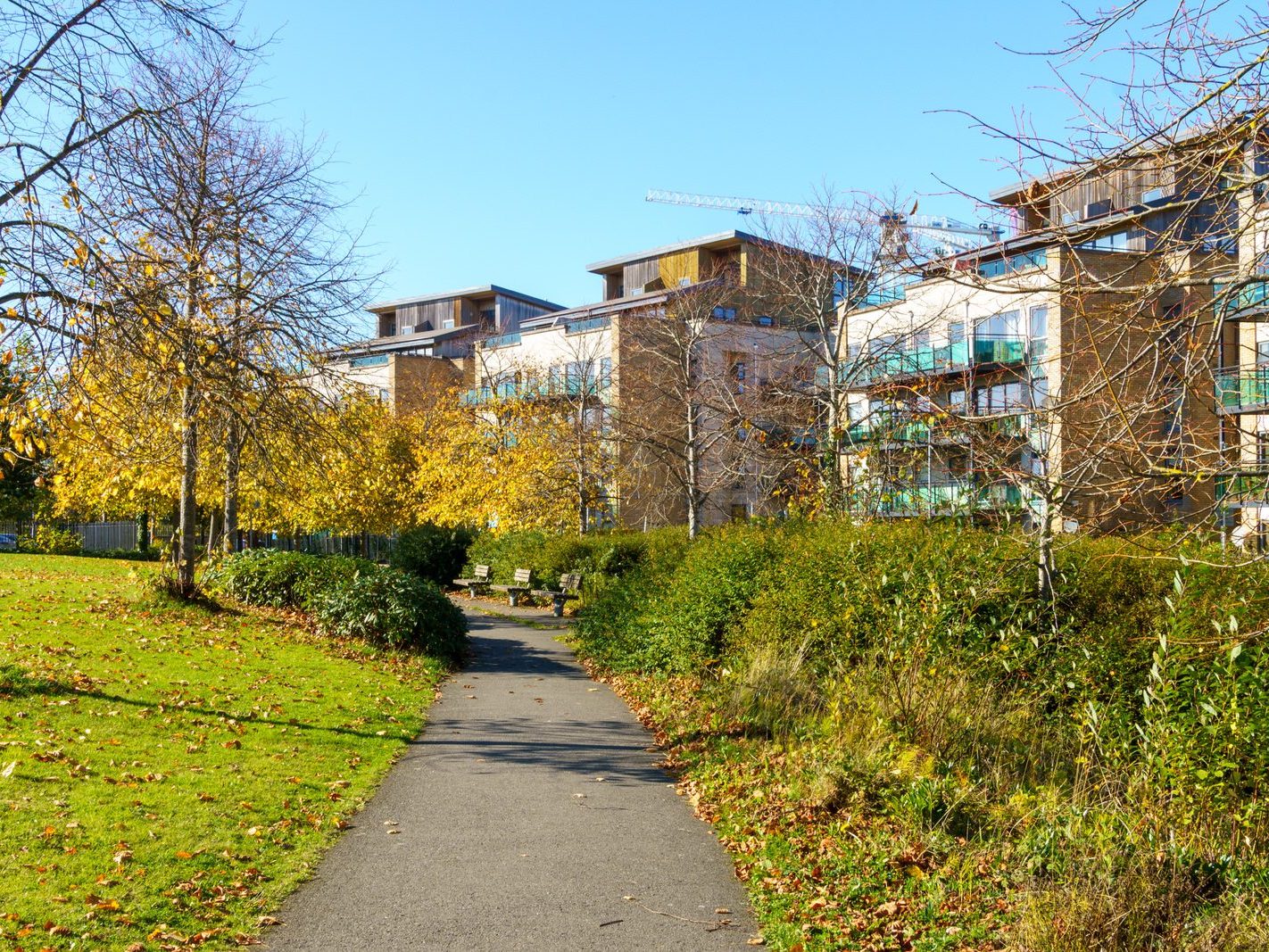 ROYAL CANAL CRESCENT AND CRESCENT PUBLIC PARK [AT PELLETSTOWN WHICH IS ADJACENT TO RATHBORNE VILLAGE]-242559-1