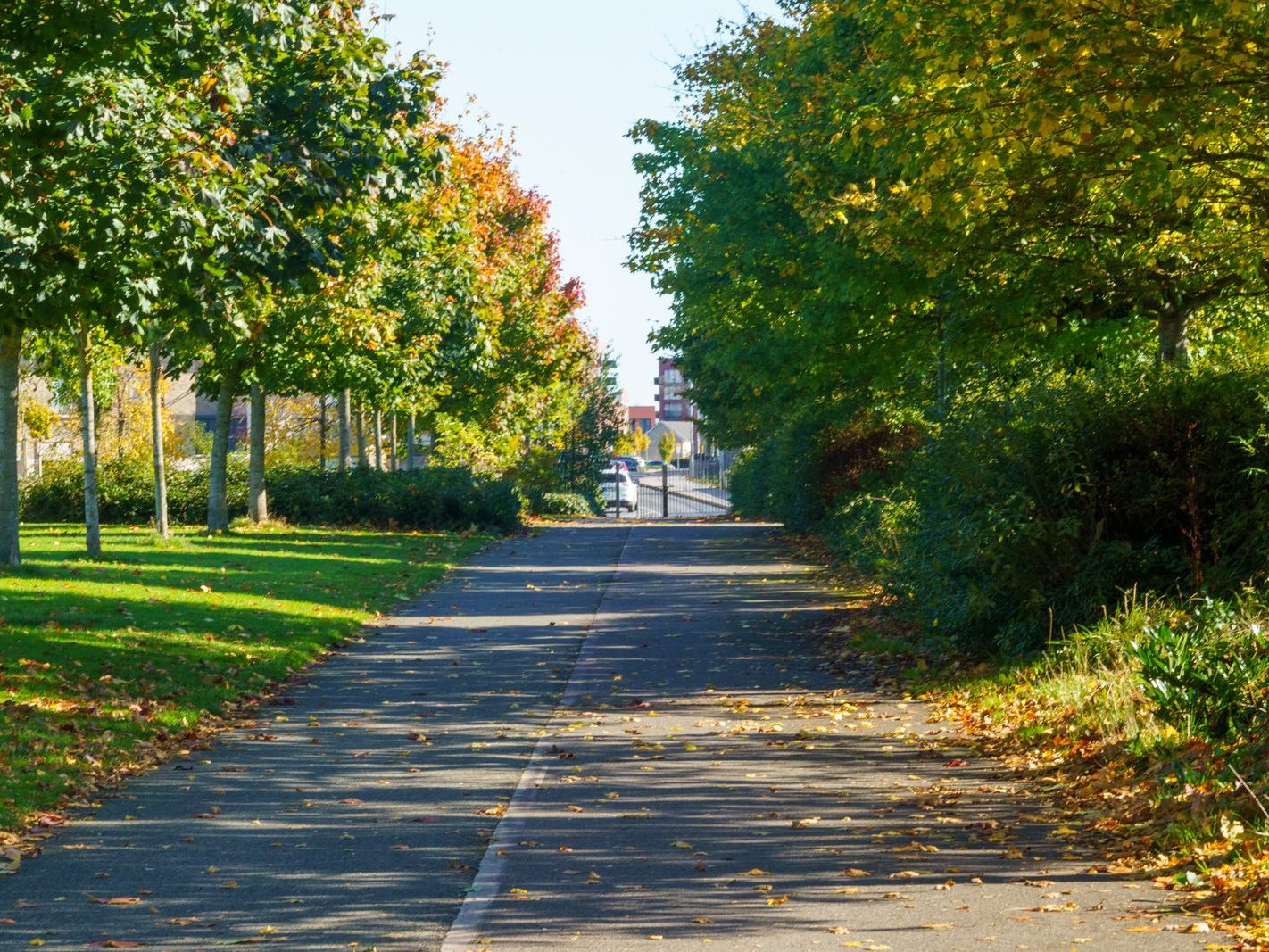 ROYAL CANAL CRESCENT AND CRESCENT PUBLIC PARK [AT PELLETSTOWN WHICH IS ADJACENT TO RATHBORNE VILLAGE]-242567-1