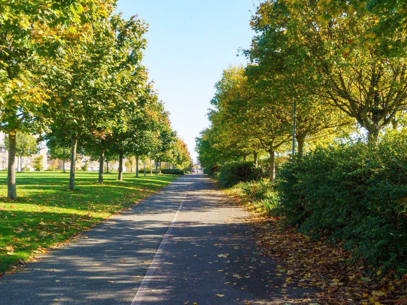 ROYAL CANAL CRESCENT AND CRESCENT PUBLIC PARK [AT PELLETSTOWN WHICH IS ADJACENT TO RATHBORNE VILLAGE]-242568-1