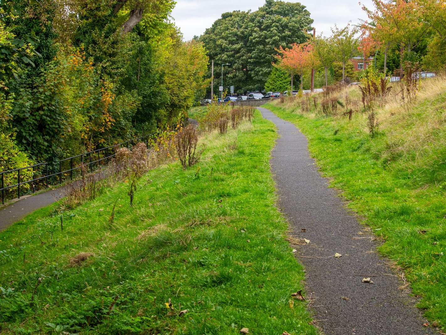 ST MOBHI DRIVE [AND ST MOBHI LINEAR PARK]-242197-1