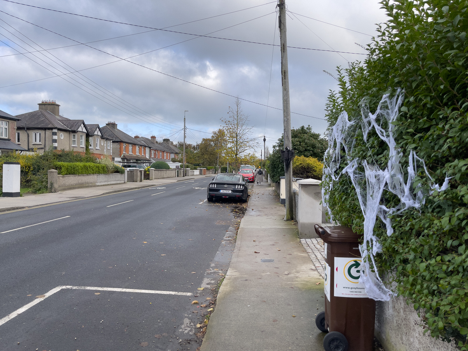 THIS IS BIRD AVENUE IN CLONSKEAGH [PHOTOGRPHED IN NOVEMBER 2023]
 001