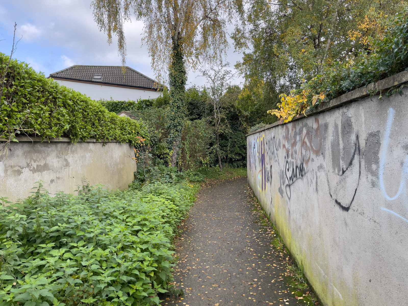 A PEDESTRIAN ONLY LANEWAY IN CLONSKEAGH [CONNECTING BEECHMOUNT DRIVE TO GLEDSWOOD AVENUE]
 003