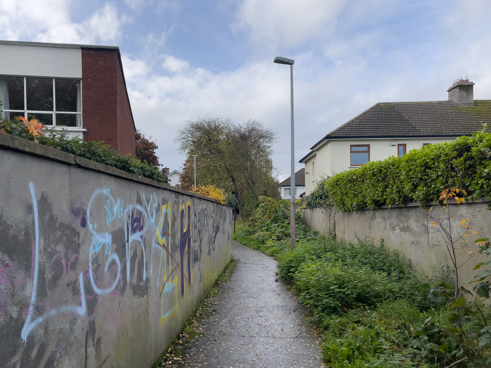 A PEDESTRIAN ONLY LANEWAY IN CLONSKEAGH [CONNECTING BEECHMOUNT DRIVE TO GLEDSWOOD AVENUE]
 008