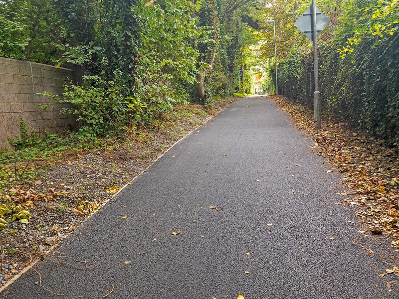 UCD Jogging Track