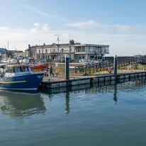 IT IS A LONG TIME SINCE I VISITED AQUA [HOWTH 25 NOVEMBER 2025]-260715-1