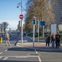 DUBLIN QUAYS AND NEARBY 6 NOVEMBER 2025 [I USED A SONY SEL 30mm MACRO LENS AND AN FX30 BODY]-259676-1