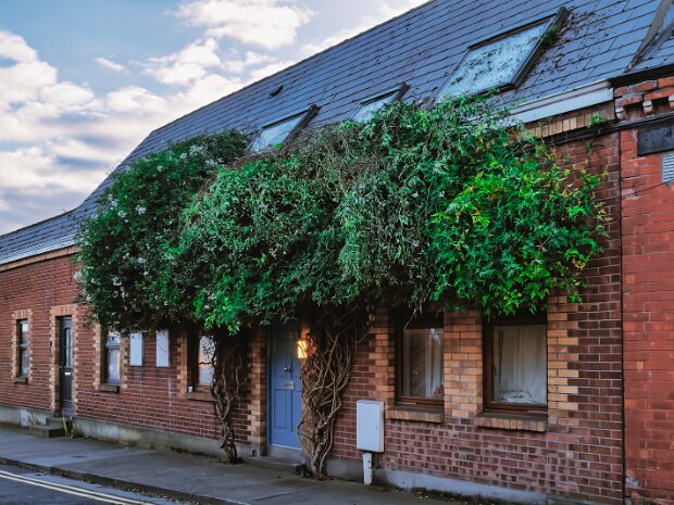 MUSTACHE COTTAGE
