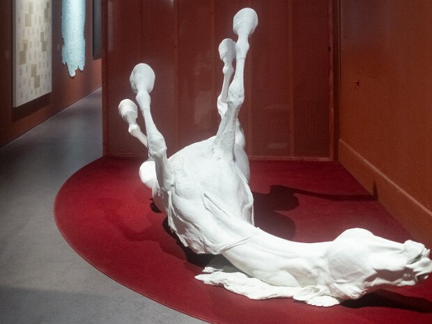 STALLION BY DAPHNE WRIGHT Wright is known for her multi-narrative installations, often utilising surprisingly fragile media such as plaster,...