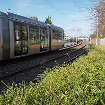 THE LUAS VIADUCT AT CENTRAL PARK - SANDYFORD [2 NOVEMBER 2025]-259528-1