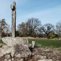 THE LAUGHANSTOWN BISHOPS FIELD HIGH CROSS NEAR TULLY CHURCH [PHOTOGRAPHED USING A LEICA Q3]-259202