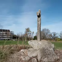 THE LAUGHANSTOWN BISHOPS FIELD HIGH CROSS NEAR TULLY CHURCH [PHOTOGRAPHED USING A LEICA Q3]-259203