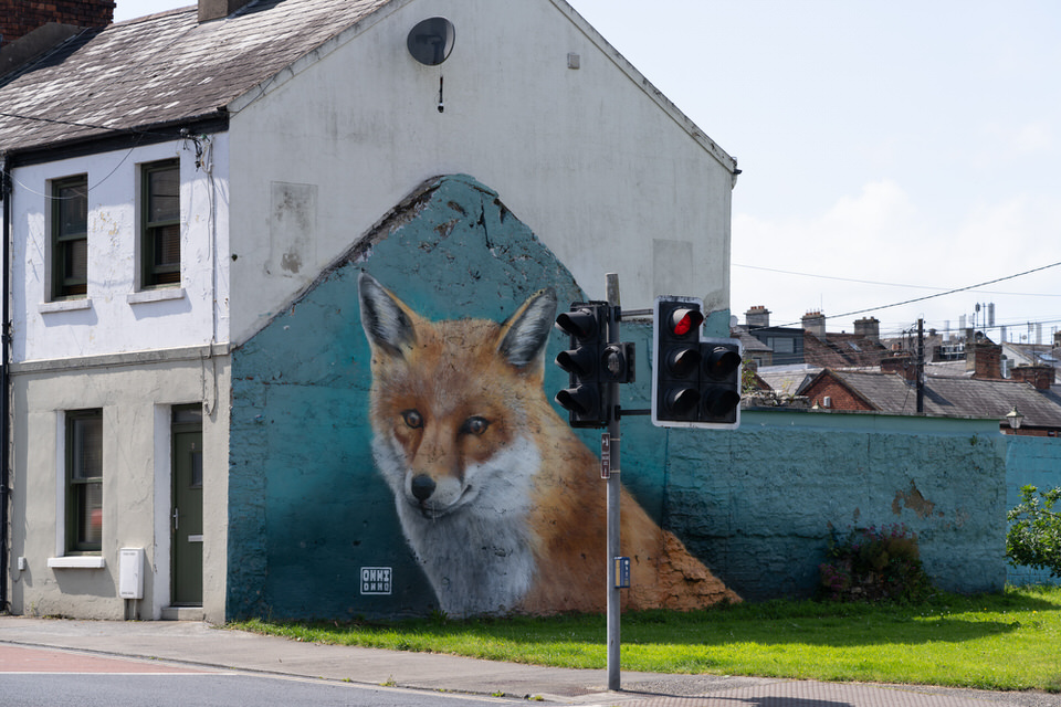 URBAN FOX MURAL