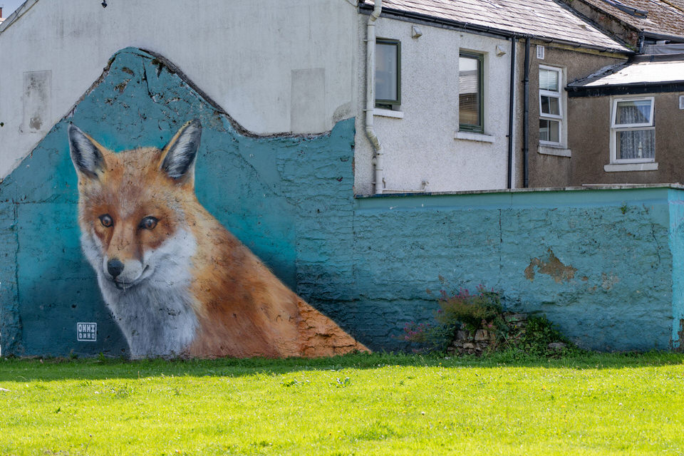 URBAN FOX MURAL