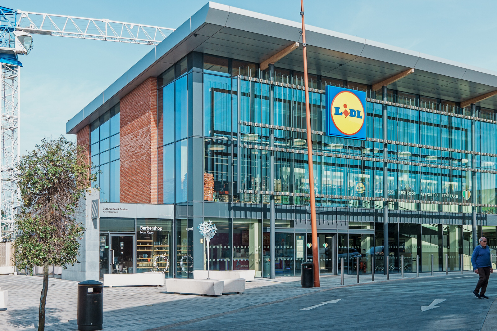 FLUTTER BY JOHN HOGAN [THE TREE OF BUTTERFLIES AT THE LIDL PLAZA IN CASTLEKNOCK]
005