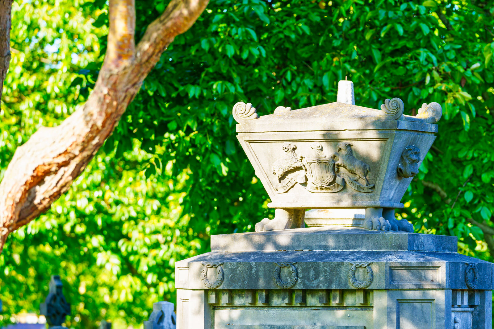 THE OLDER SECTION OF GLASNEVIN CEMETERY [I USED A SONY 70-200MM GM LENS] 001