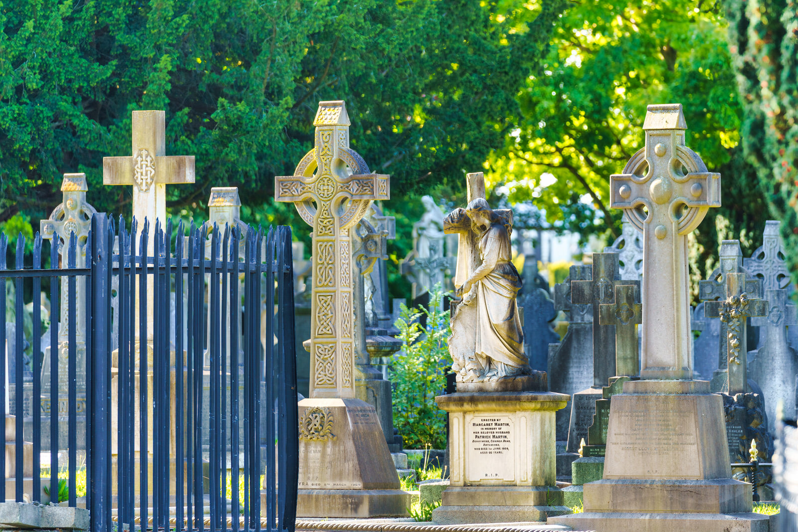THE OLDER SECTION OF GLASNEVIN CEMETERY [I USED A SONY 70-200MM GM LENS] 004