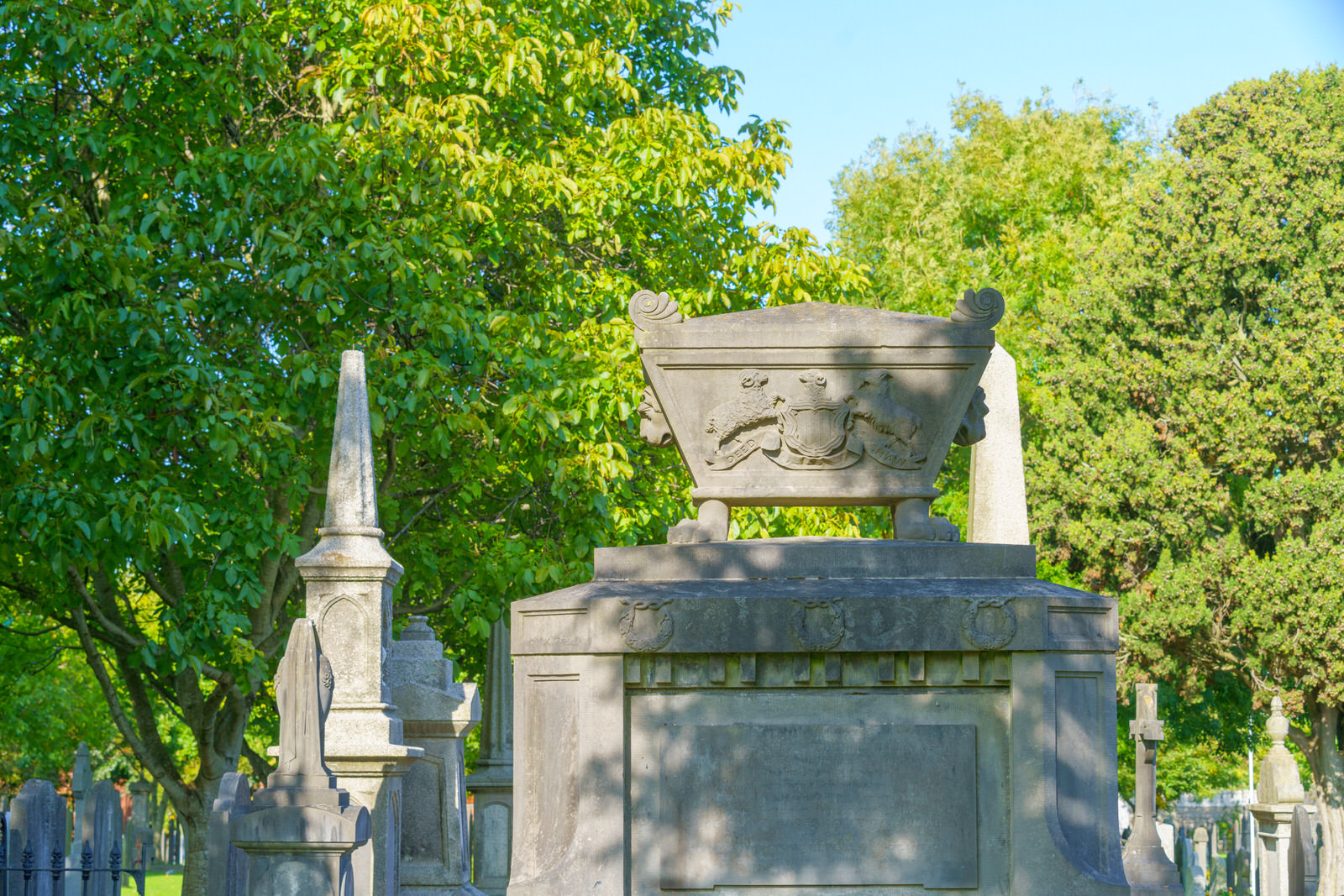 THE OLDER SECTION OF GLASNEVIN CEMETERY [I USED A SONY 70-200MM GM LENS] 006