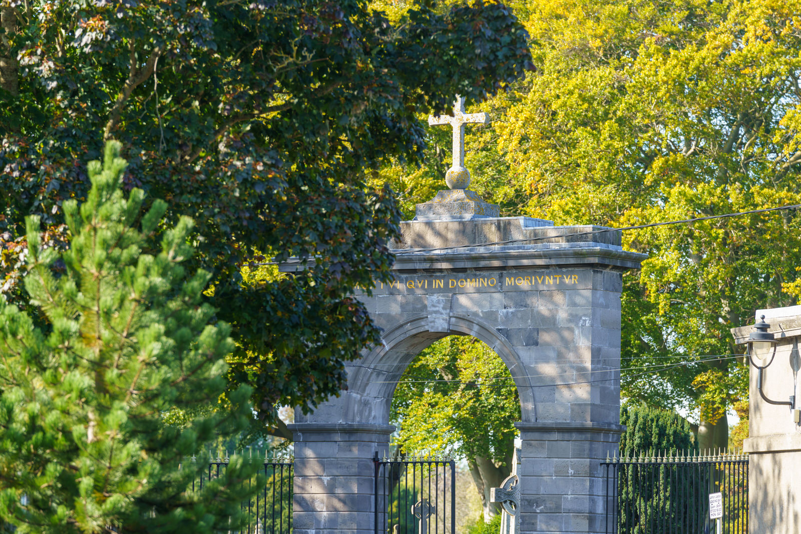 THE OLDER SECTION OF GLASNEVIN CEMETERY [I USED A SONY 70-200MM GM LENS] 007