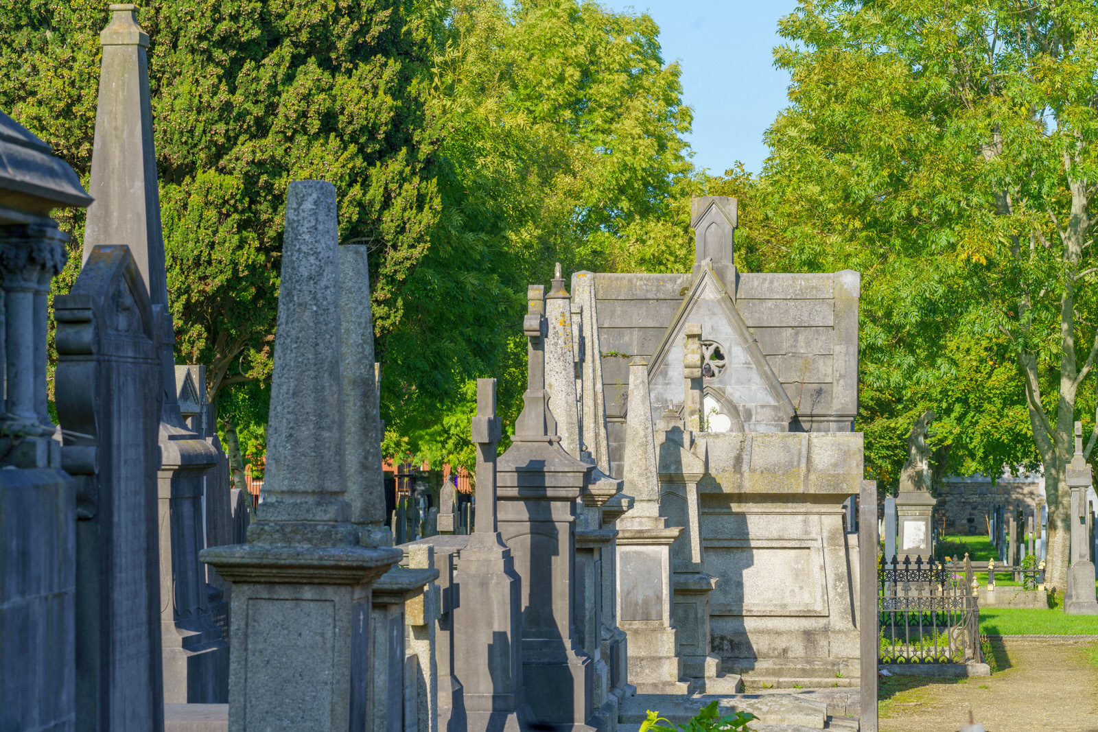 THE OLDER SECTION OF GLASNEVIN CEMETERY [I USED A SONY 70-200MM GM LENS] 008