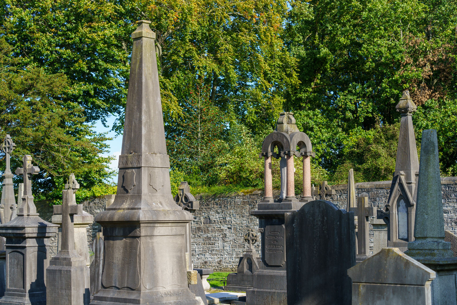 THE OLDER SECTION OF GLASNEVIN CEMETERY [I USED A SONY 70-200MM GM LENS] 009