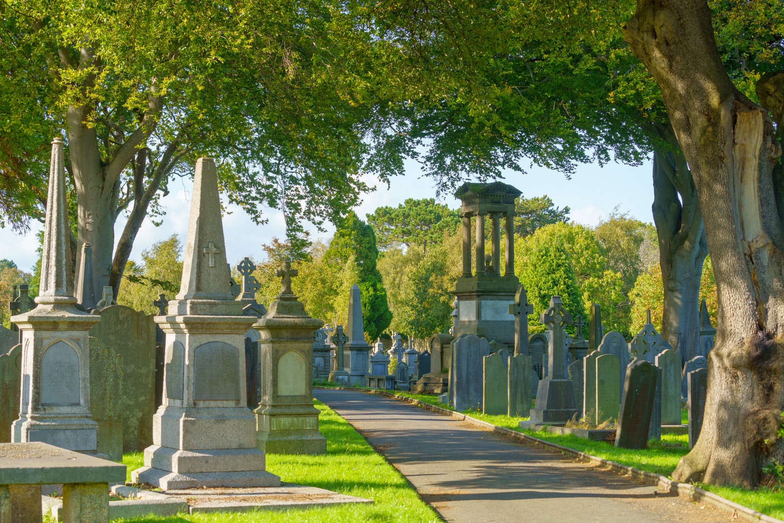 THE OLDER SECTION OF GLASNEVIN CEMETERY [I USED A SONY 70-200MM GM LENS] 010
