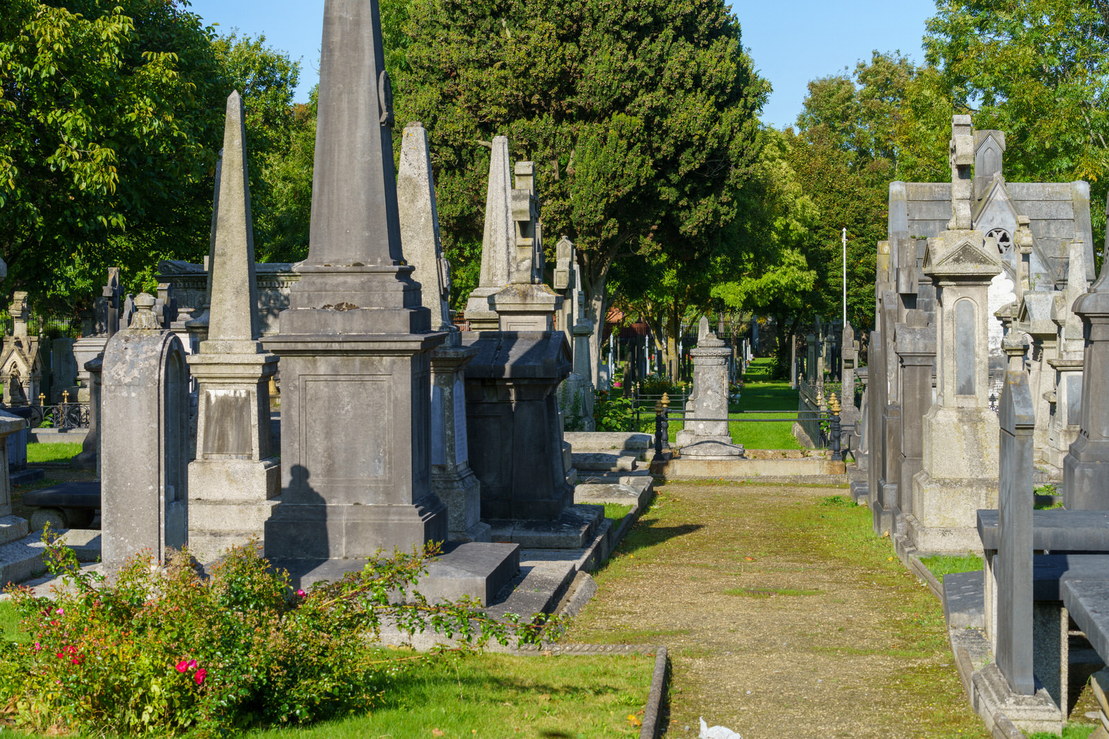 THE OLDER SECTION OF GLASNEVIN CEMETERY [I USED A SONY 70-200MM GM LENS] 011