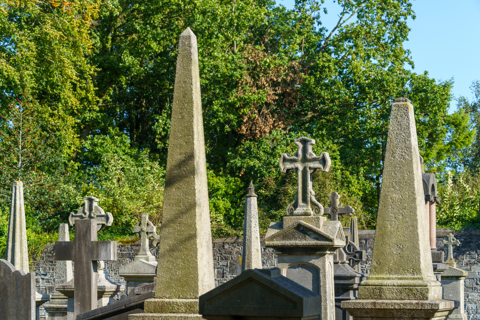 THE OLDER SECTION OF GLASNEVIN CEMETERY [I USED A SONY 70-200MM GM LENS] 012